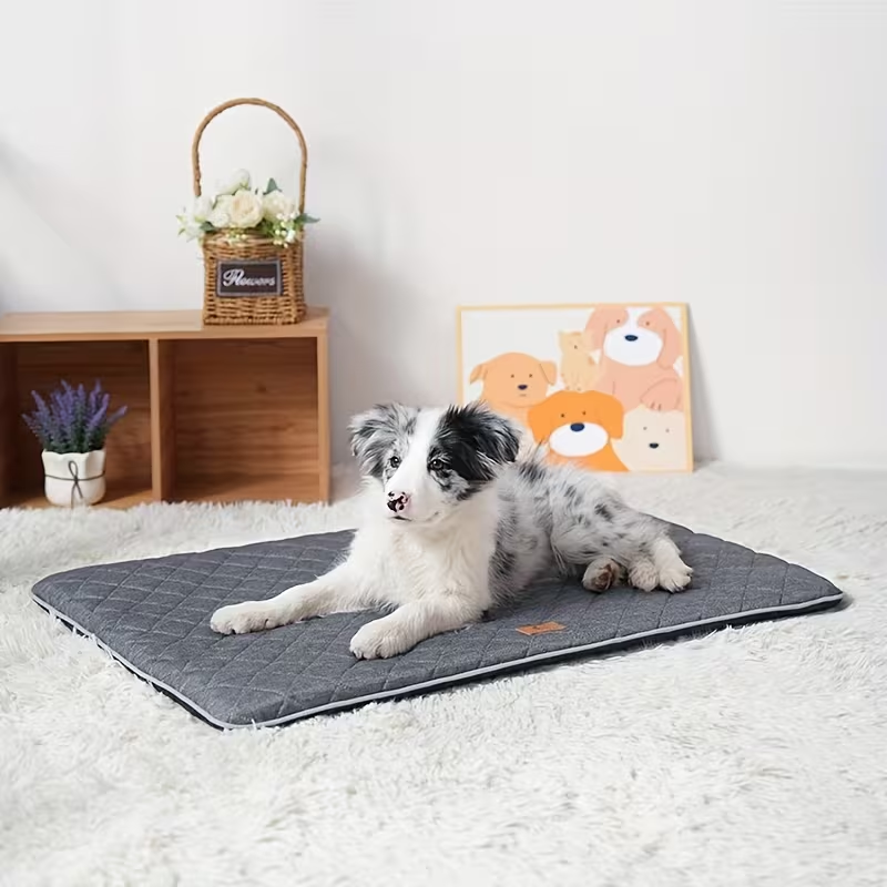 High-quality egg-shaped sponge-filled pet mat suitable for all seasons, cats and dogs.