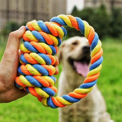 2-Pack Large Dog Knotting Toy - Various Colors, Chew-resistant